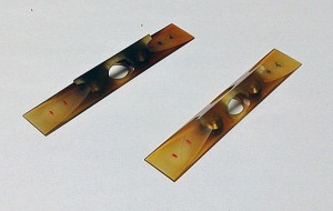 三味線コラム -No.73地唄の水牛駒がピンチです。 | 三味線亀屋のblog